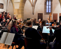 DSC07352 bearbeitet 1-1